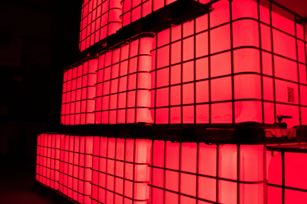 DSC_0039-1024x683